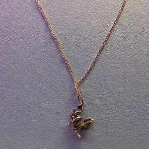 Sterling silver Dragon Chain
